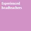 Experienced headteachers graphic